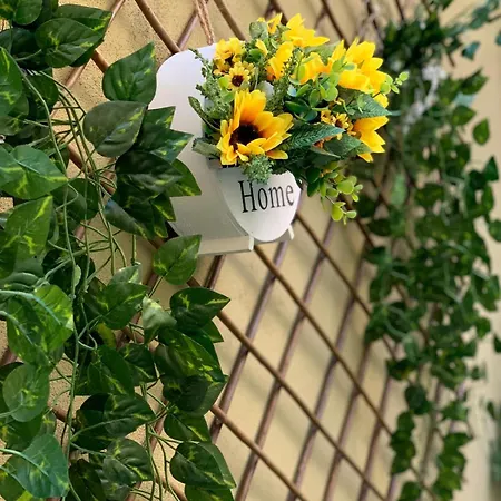 Plaja Modern Black Sea * Constanţa