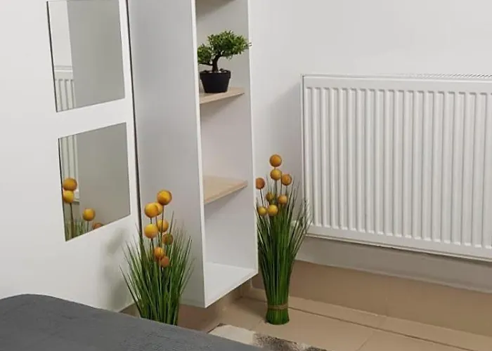 Plaja Modern Black Sea